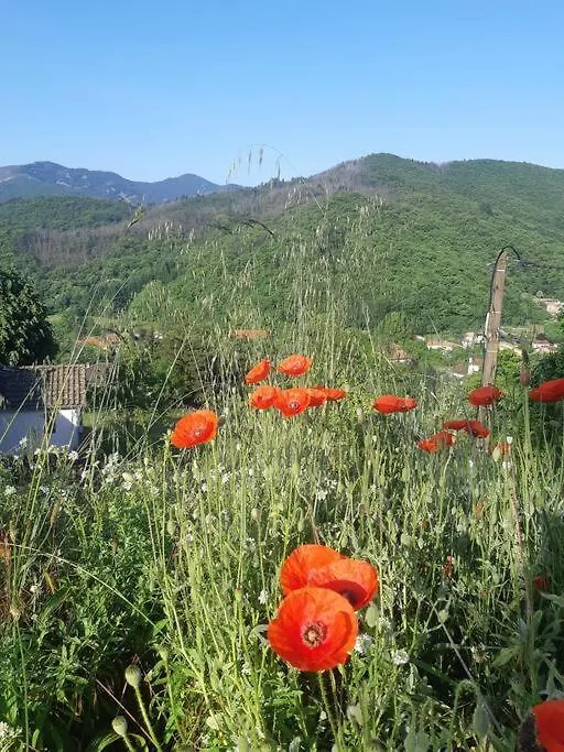 Ardeche Cottage Maison En Ardeche A Thuyets Pont Du Diable, Avec Terrasse Avec Vue Thueyts Holiday home